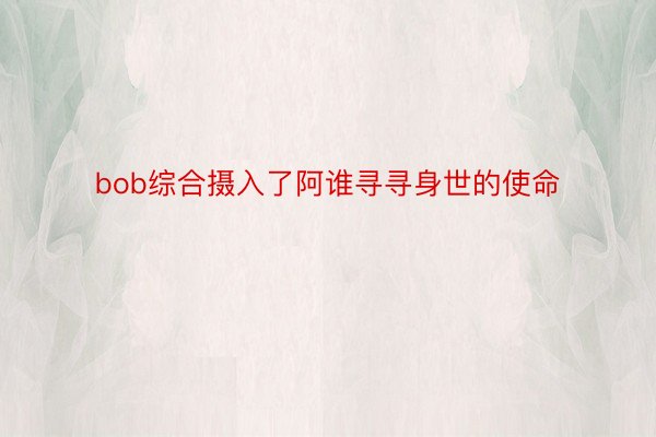 bob综合摄入了阿谁寻寻身世的使命