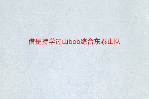 借是持学过山bob综合东泰山队