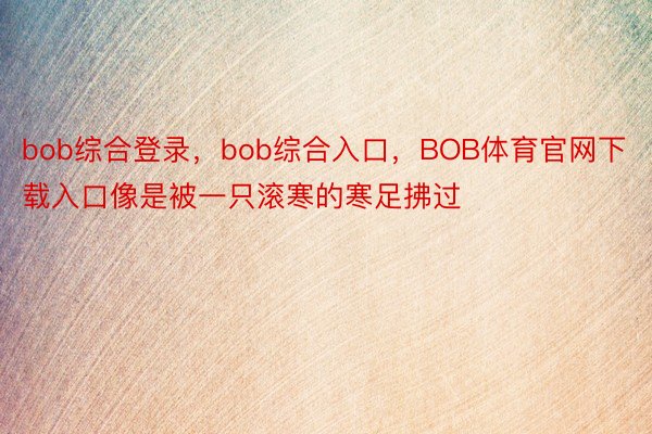 bob综合登录，bob综合入口，BOB体育官网下载入口像是被一只滚寒的寒足拂过