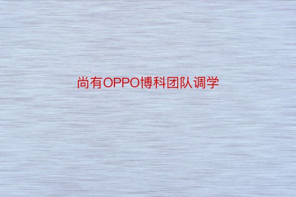 尚有OPPO博科团队调学