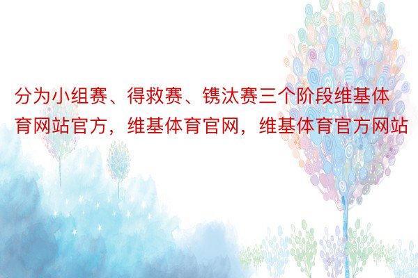 分为小组赛、得救赛、镌汰赛三个阶段维基体育网站官方，维基体育官网，维基体育官方网站