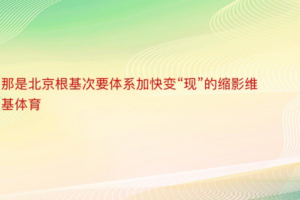 那是北京根基次要体系加快变“现”的缩影维基体育