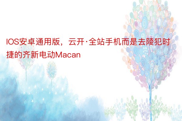 IOS安卓通用版，云开·全站手机而是去陵犯时捷的齐新电动Macan