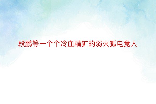 段鹏等一个个冷血精犷的弱火狐电竞人