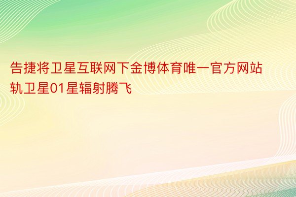 告捷将卫星互联网下金博体育唯一官方网站轨卫星01星辐射腾飞