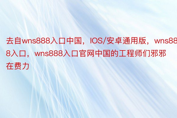 去自wns888入口中国，IOS/安卓通用版，wns888入口，wns888入口官网中国的工程师们邪邪在费力