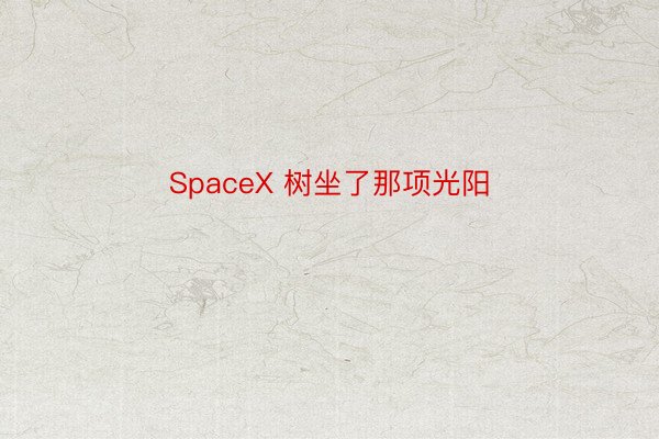 SpaceX 树坐了那项光阳