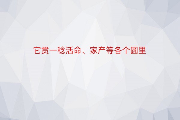 它贯一稔活命、家产等各个圆里