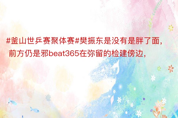 #釜山世乒赛聚体赛#樊振东是没有是胖了面， 前方仍是邪beat365在弥留的检建傍边，