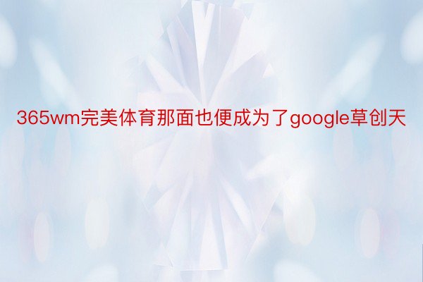 365wm完美体育那面也便成为了google草创天