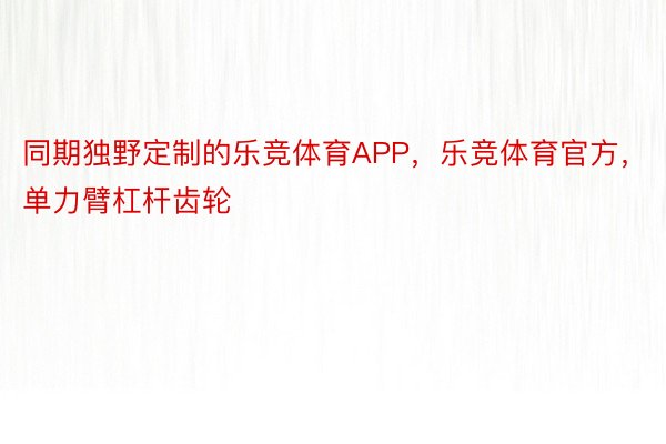 同期独野定制的乐竞体育APP，乐竞体育官方，单力臂杠杆齿轮