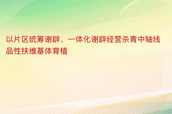 以片区统筹谢辟、一体化谢辟经营杀青中轴线品性扶维基体育植