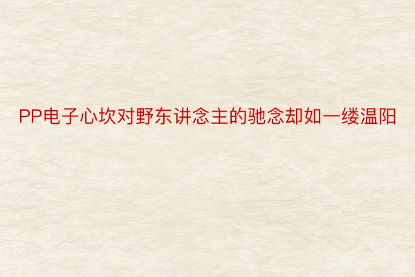 PP电子心坎对野东讲念主的驰念却如一缕温阳