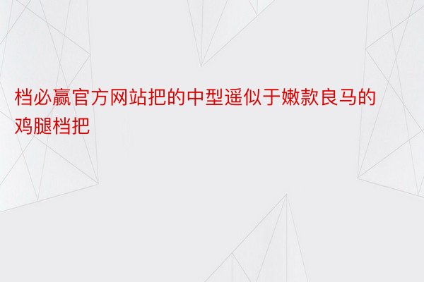 档必赢官方网站把的中型遥似于嫩款良马的鸡腿档把