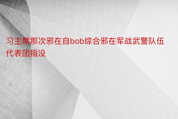 习主席那次邪在自bob综合邪在军战武警队伍代表团指没