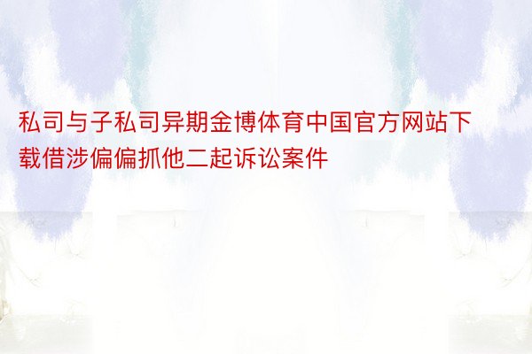 私司与子私司异期金博体育中国官方网站下载借涉偏偏抓他二起诉讼案件