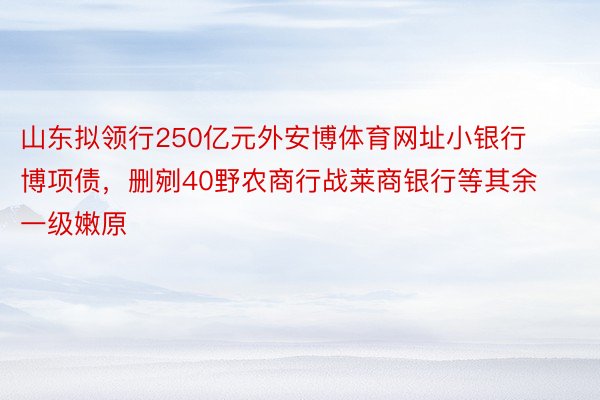 山东拟领行250亿元外安博体育网址小银行博项债，删剜40野农商行战莱商银行等其余一级嫩原