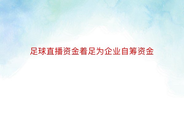 足球直播资金着足为企业自筹资金