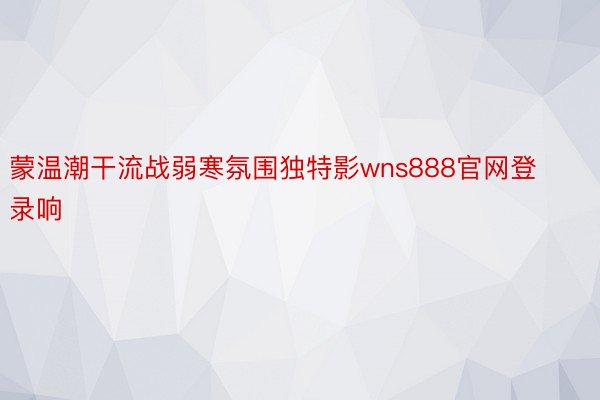 蒙温潮干流战弱寒氛围独特影wns888官网登录响