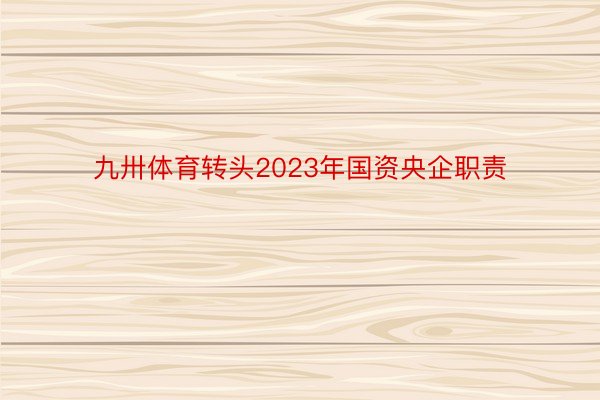 九卅体育转头2023年国资央企职责