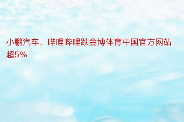 小鹏汽车、哔哩哔哩跌金博体育中国官方网站超5％