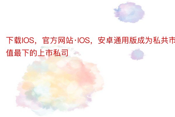 下载IOS，官方网站·IOS，安卓通用版成为私共市值最下的上市私司