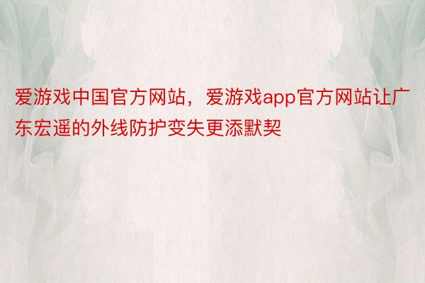 爱游戏中国官方网站，爱游戏app官方网站让广东宏遥的外线防护变失更添默契