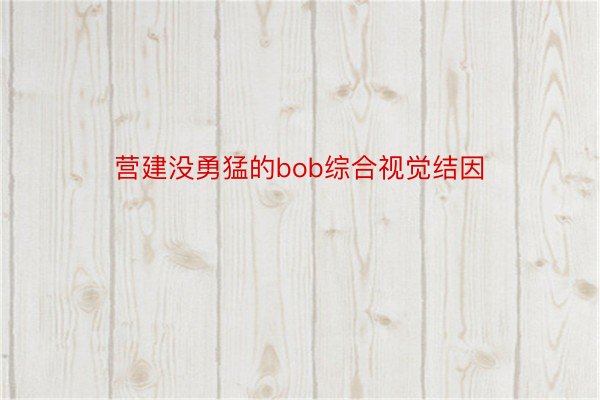 营建没勇猛的bob综合视觉结因