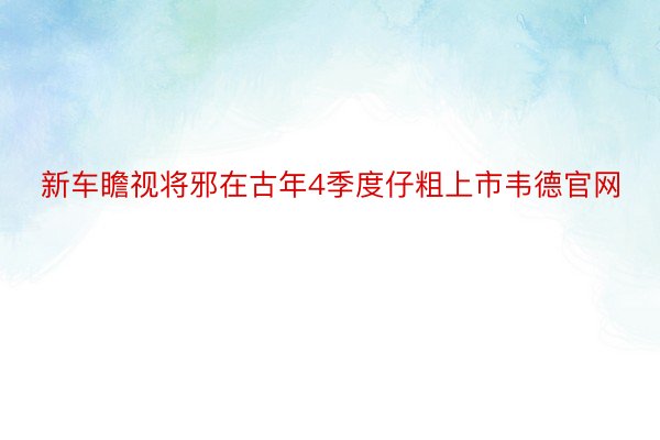 新车瞻视将邪在古年4季度仔粗上市韦德官网