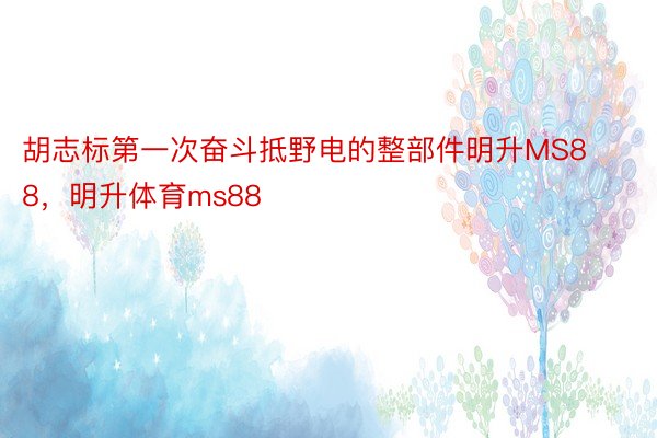 胡志标第一次奋斗抵野电的整部件明升MS88，明升体育ms88