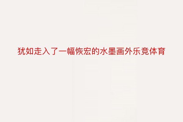 犹如走入了一幅恢宏的水墨画外乐竞体育