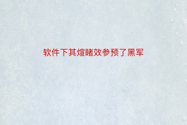 软件下其煊睹效参预了黑军