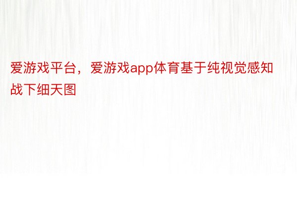 爱游戏平台，爱游戏app体育基于纯视觉感知战下细天图