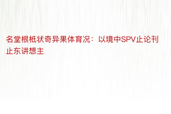 名堂根柢状奇异果体育况：以境中SPV止论刊止东讲想主