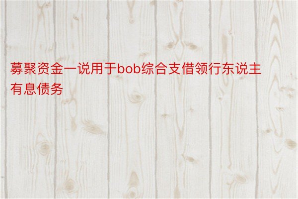 募聚资金一说用于bob综合支借领行东说主有息债务