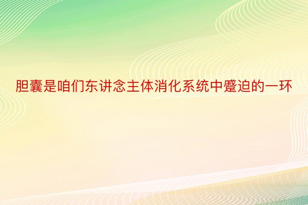 胆囊是咱们东讲念主体消化系统中蹙迫的一环