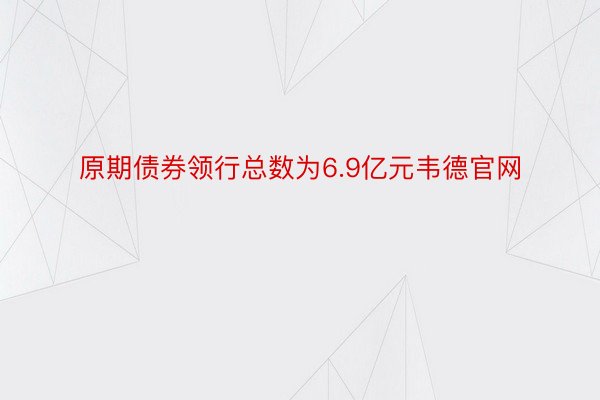 原期债券领行总数为6.9亿元韦德官网