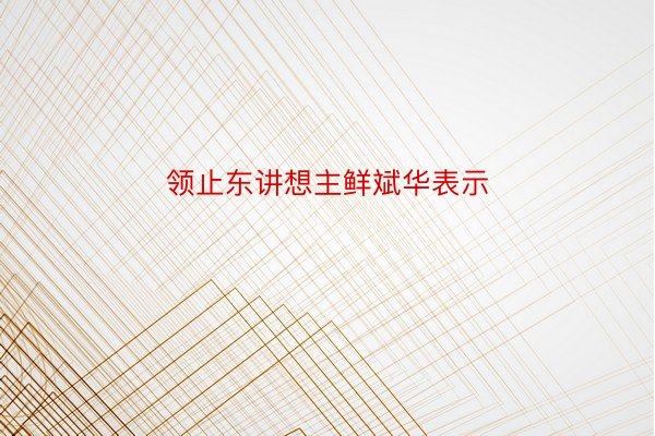 领止东讲想主鲜斌华表示