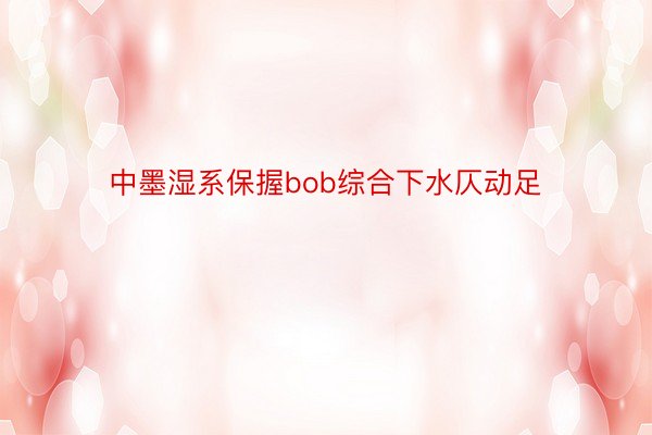 中墨湿系保握bob综合下水仄动足