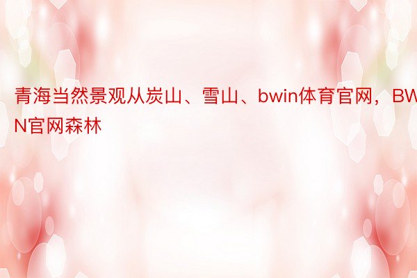 青海当然景观从炭山、雪山、bwin体育官网，BWIN官网森林