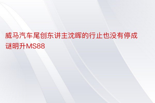 威马汽车尾创东讲主沈晖的行止也没有停成谜明升MS88