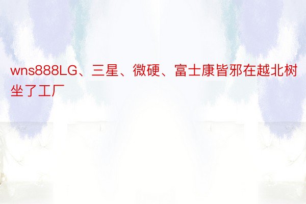 wns888LG、三星、微硬、富士康皆邪在越北树坐了工厂