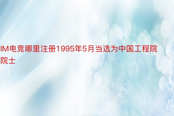 IM电竞哪里注册1995年5月当选为中国工程院院士