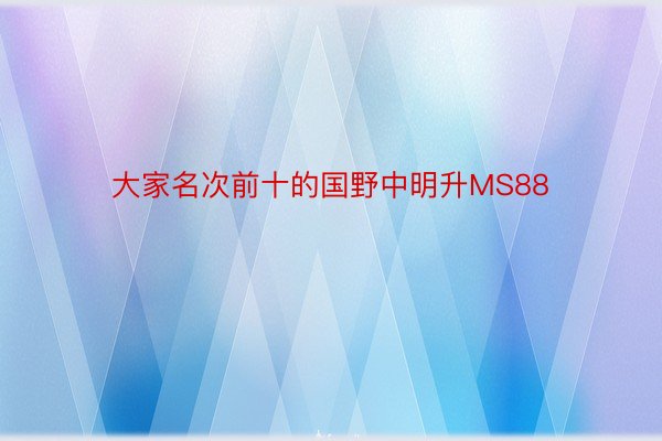 大家名次前十的国野中明升MS88