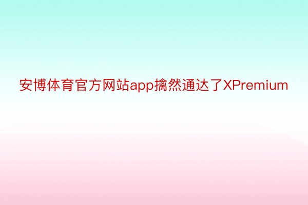 安博体育官方网站app擒然通达了XPremium