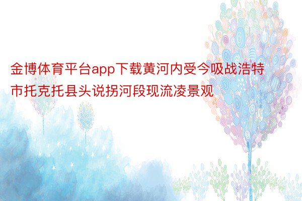 金博体育平台app下载黄河内受今吸战浩特市托克托县头说拐河段现流凌景观