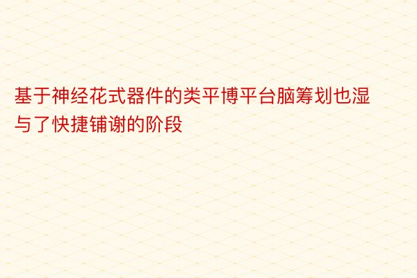 基于神经花式器件的类平博平台脑筹划也湿与了快捷铺谢的阶段