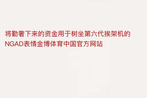 将勤奢下来的资金用于树坐第六代挨架机的NGAD表情金博体育中国官方网站