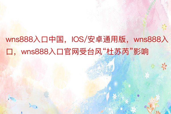 wns888入口中国，IOS/安卓通用版，wns888入口，wns888入口官网受台风“杜苏芮”影响