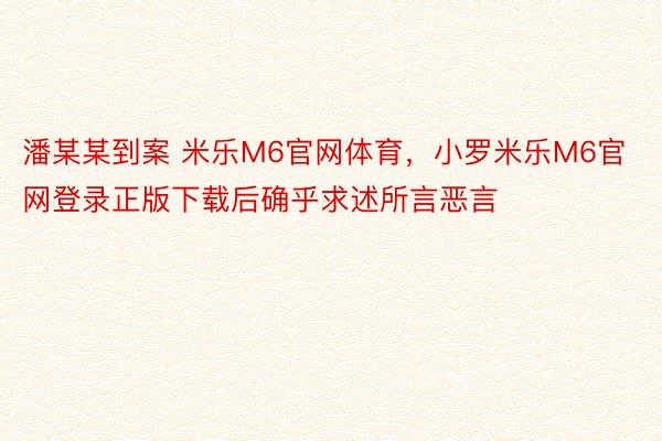 潘某某到案 米乐M6官网体育，小罗米乐M6官网登录正版下载后确乎求述所言恶言